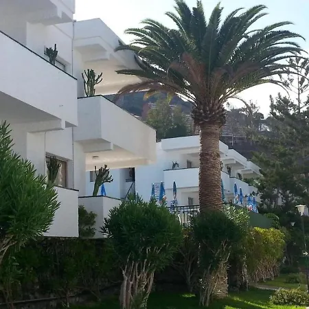 In Santa Cruz De Tenerife By The Sea